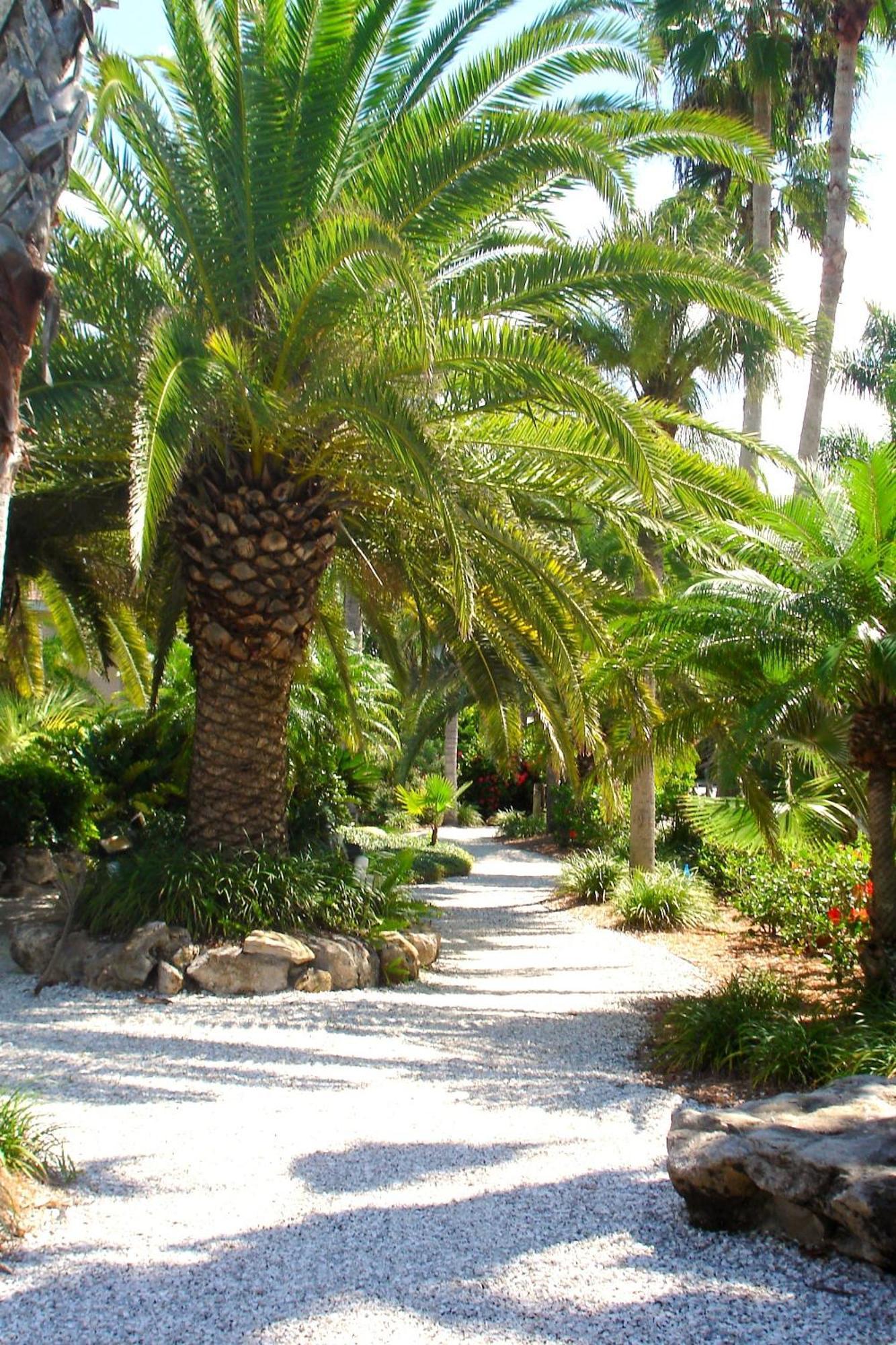 Tropical Beach Resorts - Sarasota Сиеста Кий Екстериор снимка