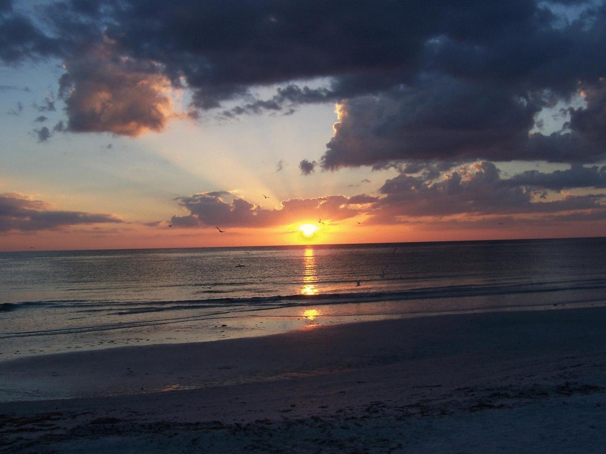 Tropical Beach Resorts - Sarasota Сиеста Кий Екстериор снимка